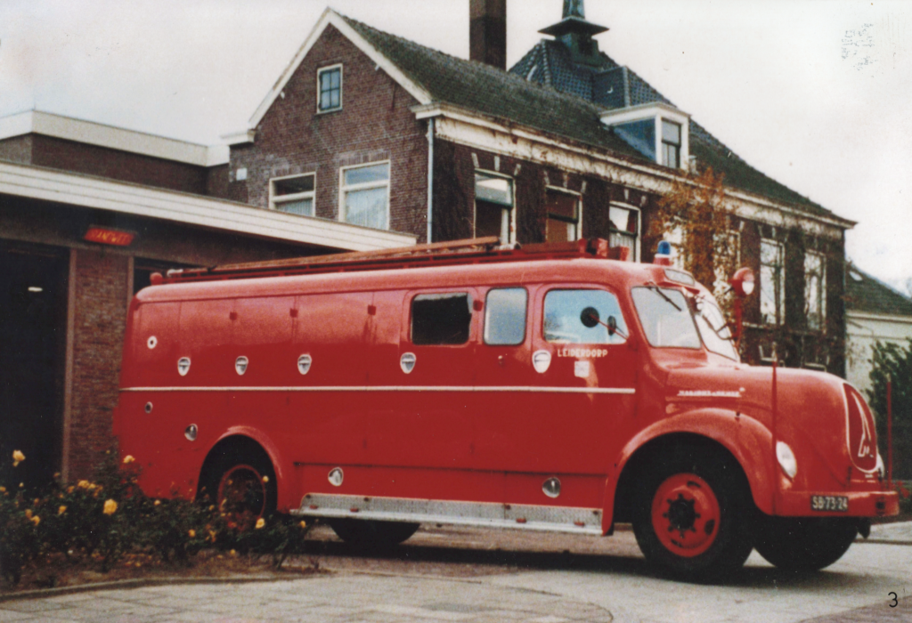 Magirus rondneus