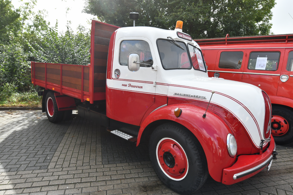 Magirus rondneus VA
