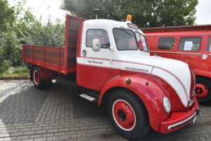 Magirus rondneus VA
